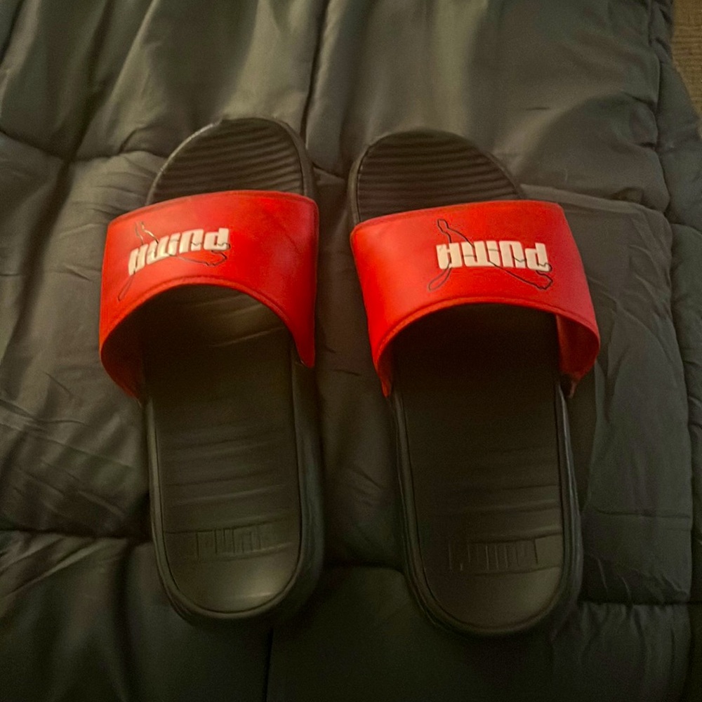 Puma